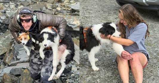 The Dog Who Wouldn't Leave: A Wilderness Rescue Powered by Hope